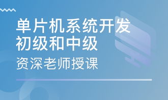 上海嘉定区软件开发培训 嘉定区软件开发培训学校 培训机构排名